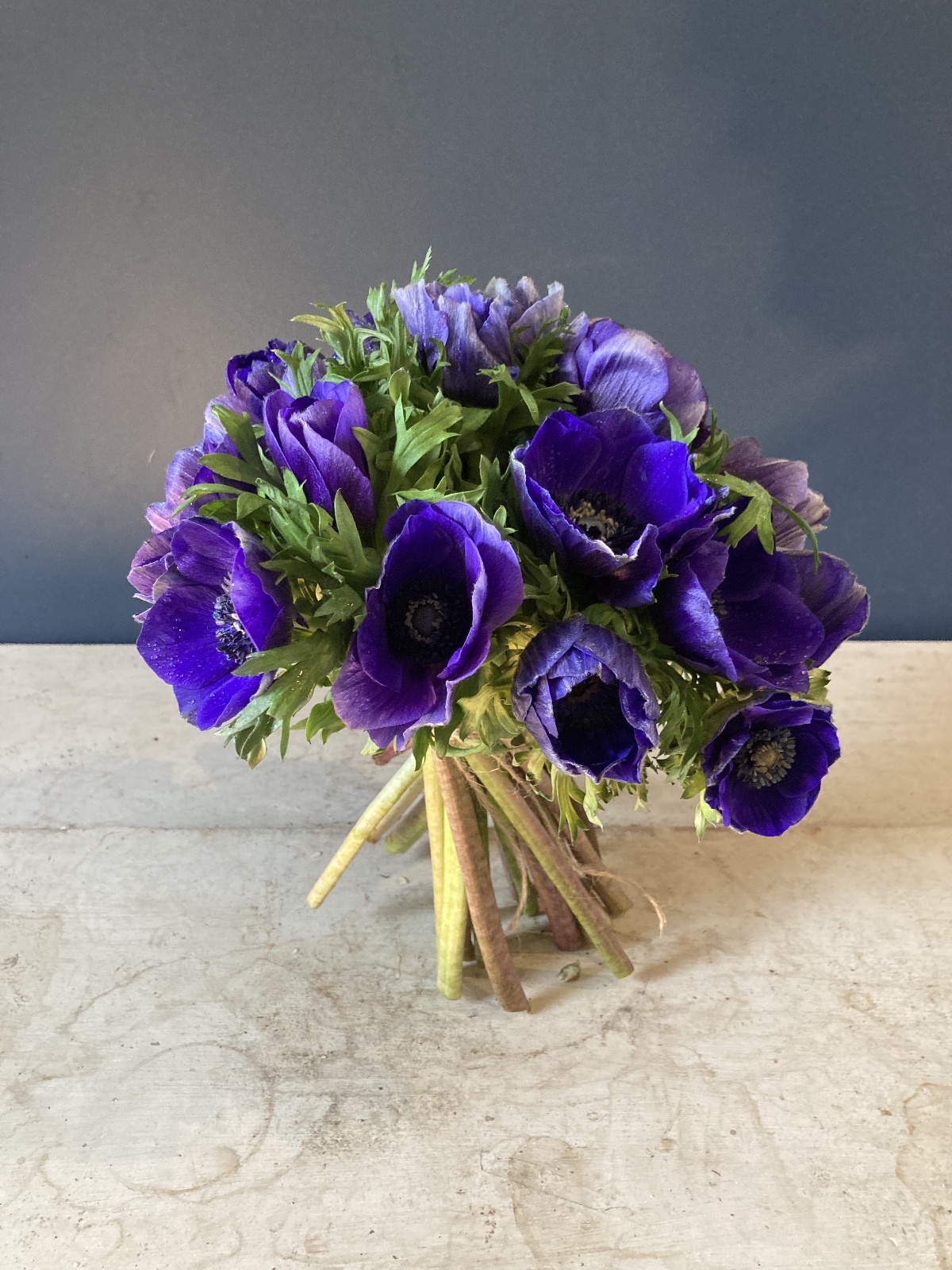 Rebecca Mays Flowers-Image-3