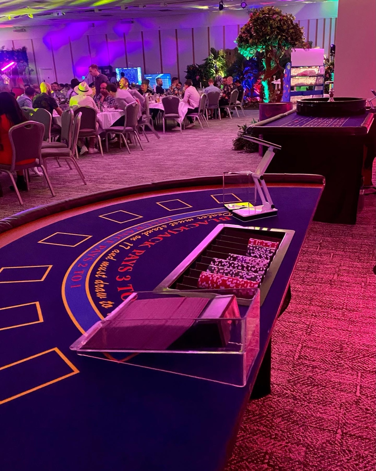 All-In Fun Casino Hire-Image-52