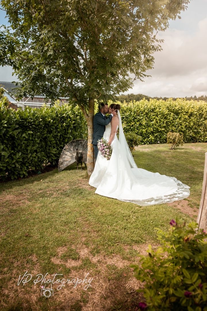 VP Photography-Image-3