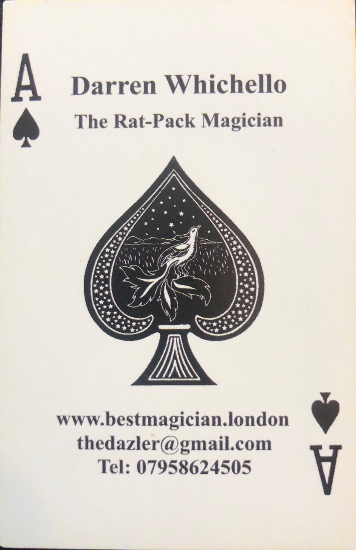 Darren Whichello - Magician for hire-Image-25
