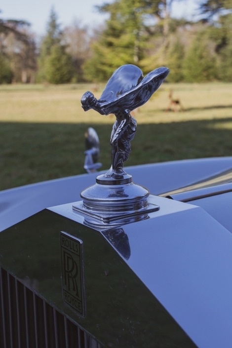 Midsummer Cars-Image-23