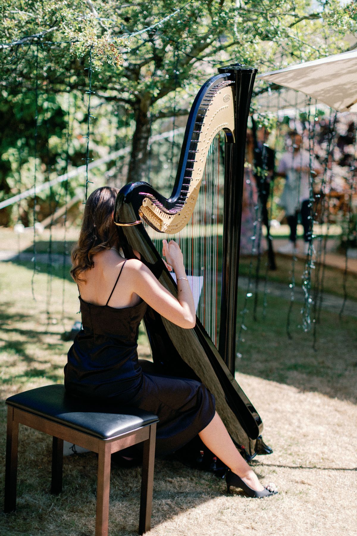 Merchant Music -Image-7