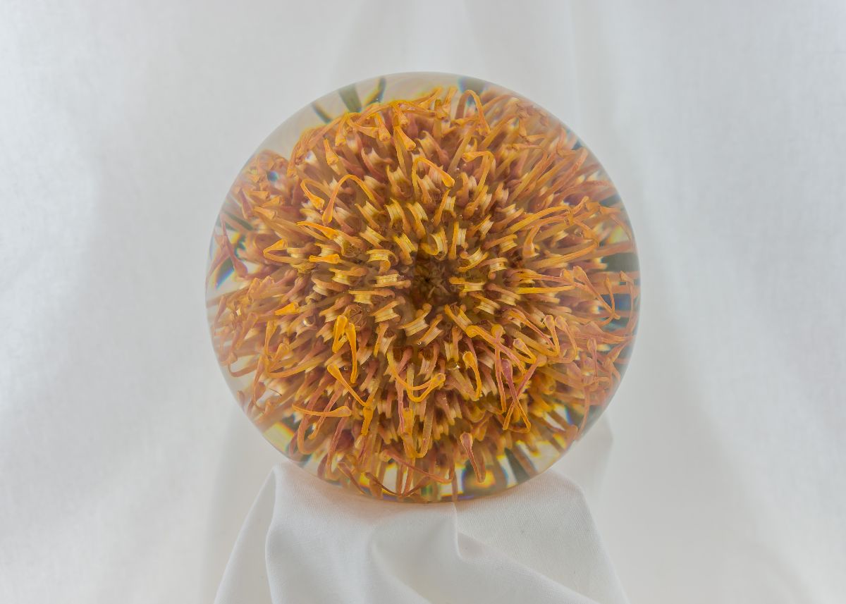 The Flower Preservation Workshop-Image-12