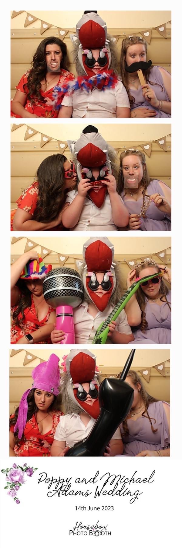Horsebox Photobooth-Image-47