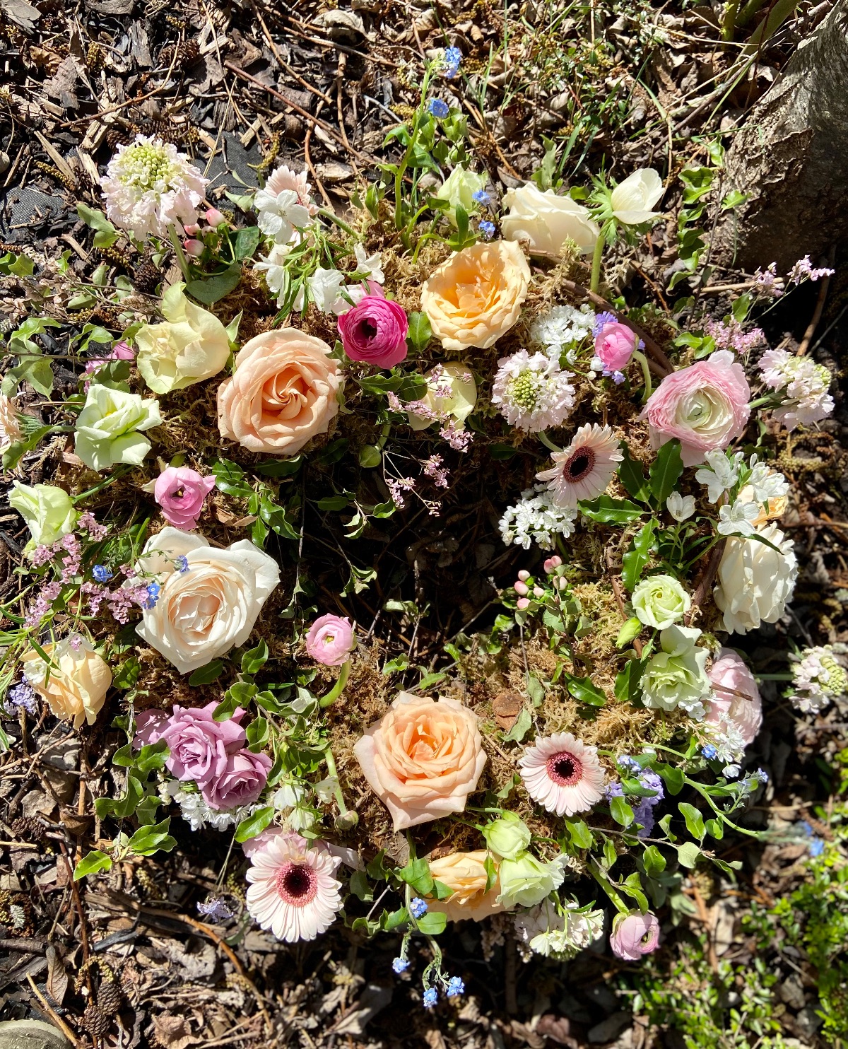 Floral Ingredients-Image-5