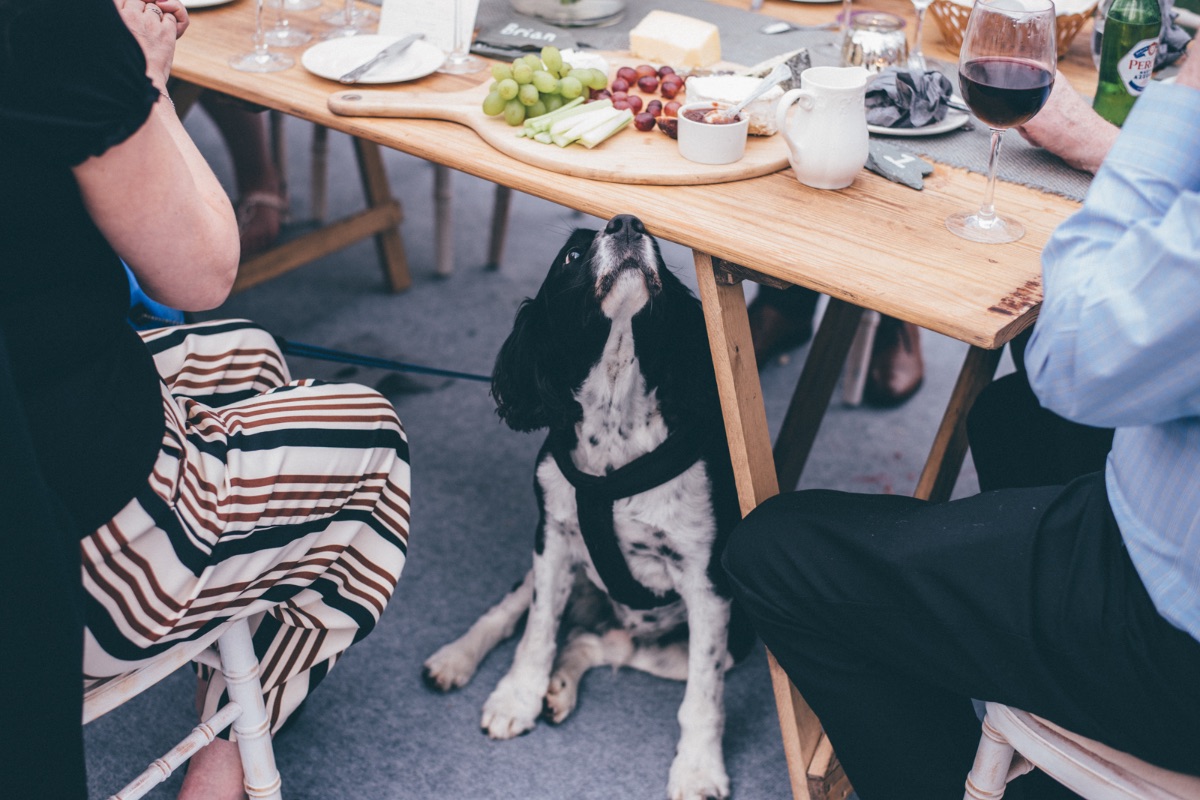 Helen Jane Smiddy Photography-Image-46