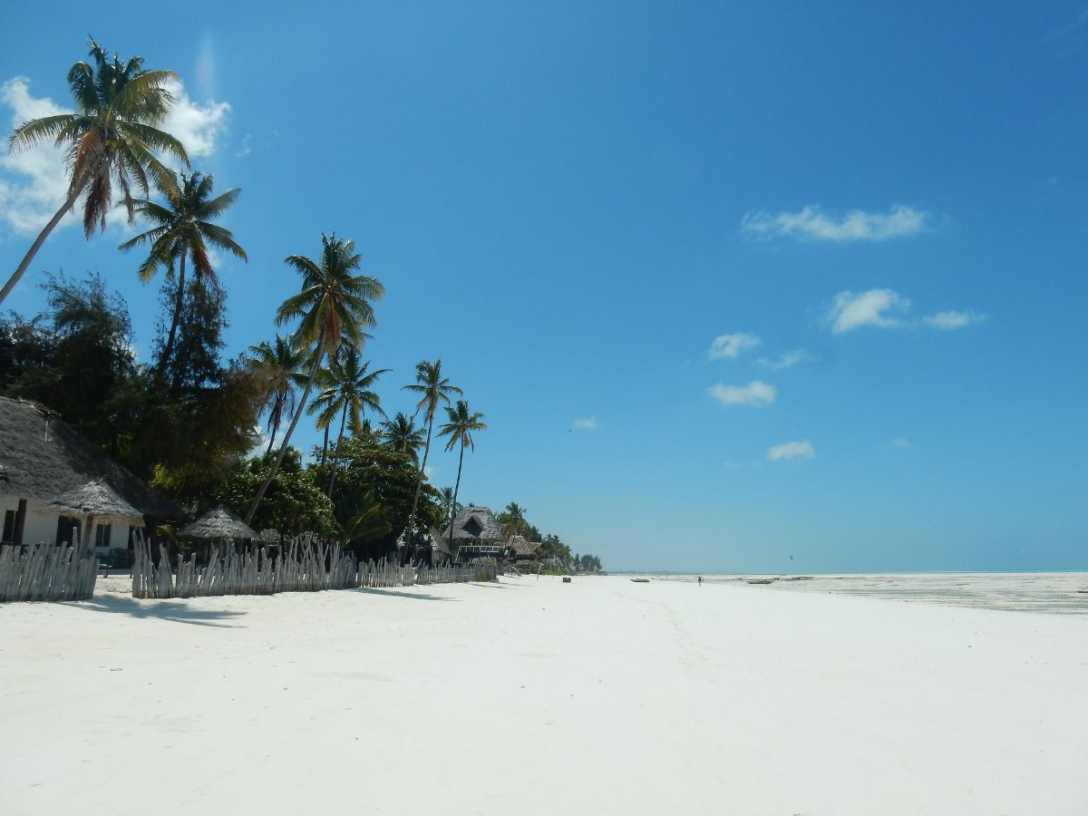 Sue Aitken - Not Just Travel-Image-1