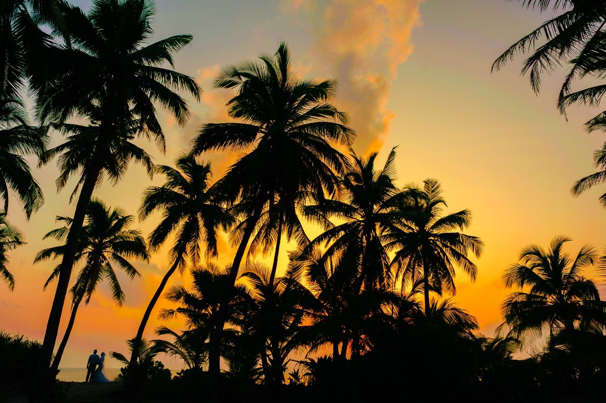 Sue Aitken - Not Just Travel-Image-2