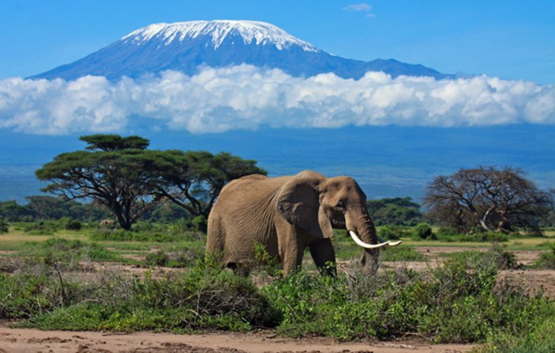 Sue Aitken - Not Just Travel-Image-91