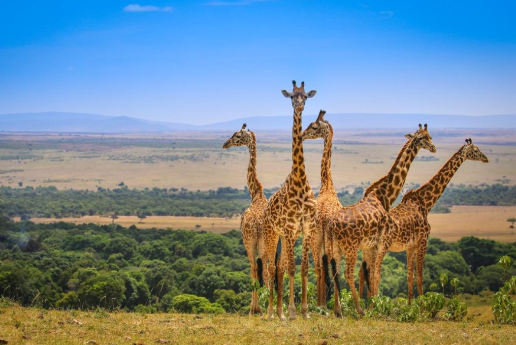 Sue Aitken - Not Just Travel-Image-96