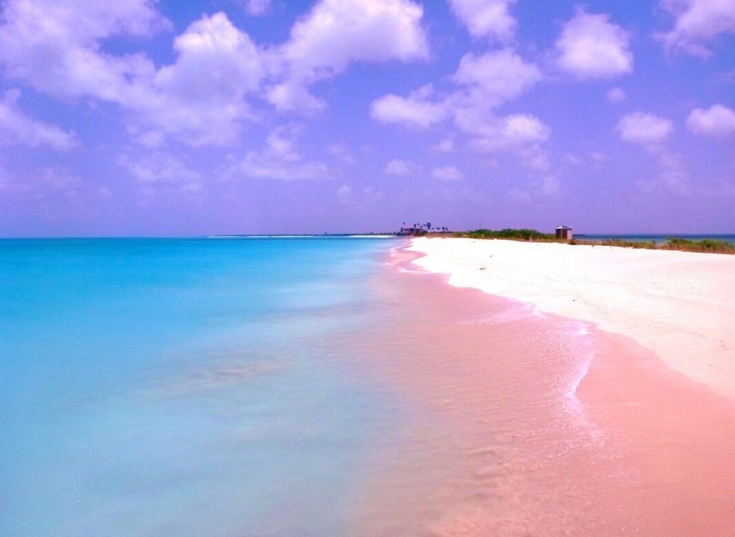 Sue Aitken - Not Just Travel-Image-93