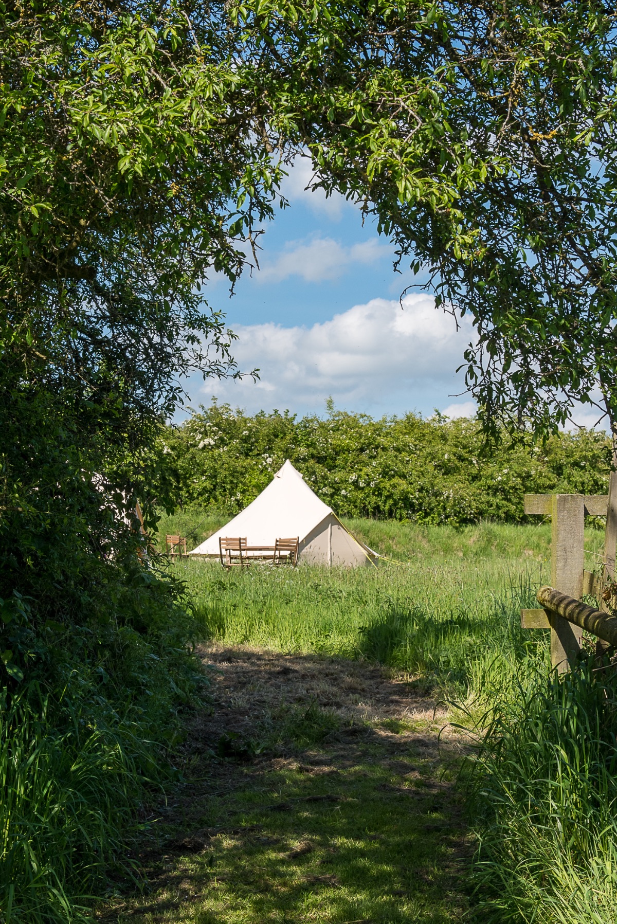 The Glamping Group-Image-20