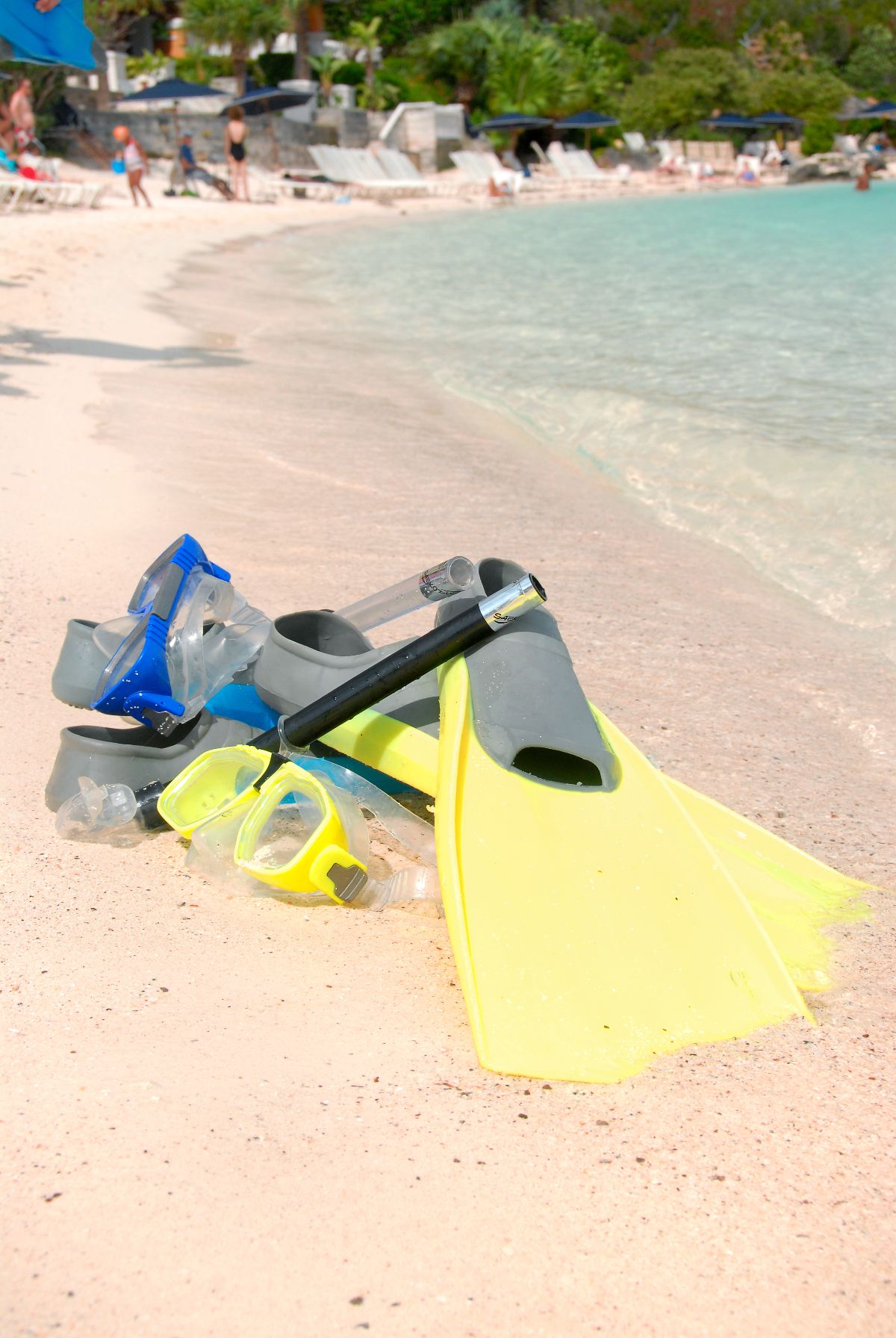 Purely Bermuda-Image-3