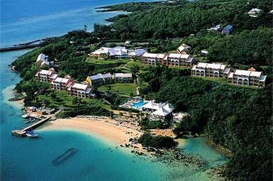 Purely Bermuda-Image-12