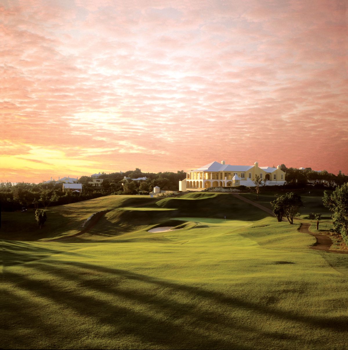Purely Bermuda-Image-20