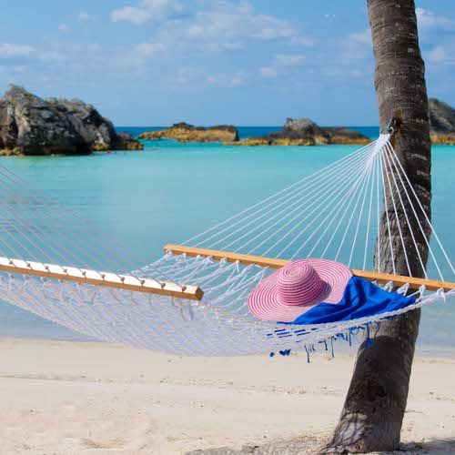 Purely Bermuda-Image-52