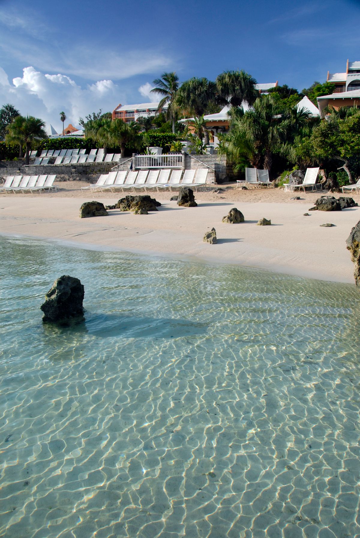 Purely Bermuda-Image-9