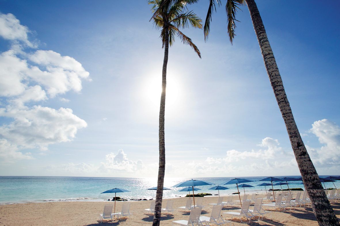 Purely Bermuda-Image-2