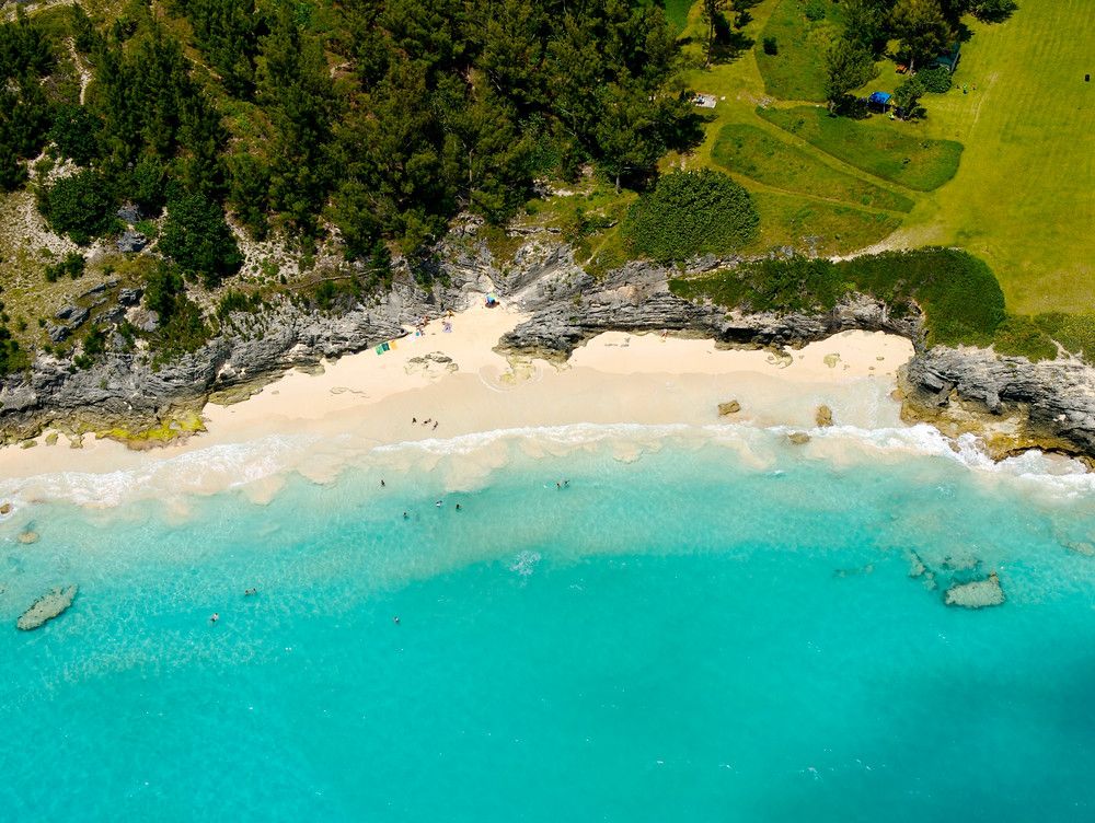 Purely Bermuda-Image-45