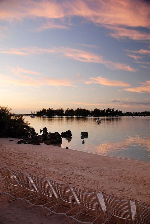 Purely Bermuda-Image-8