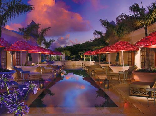 Purely Bermuda-Image-15