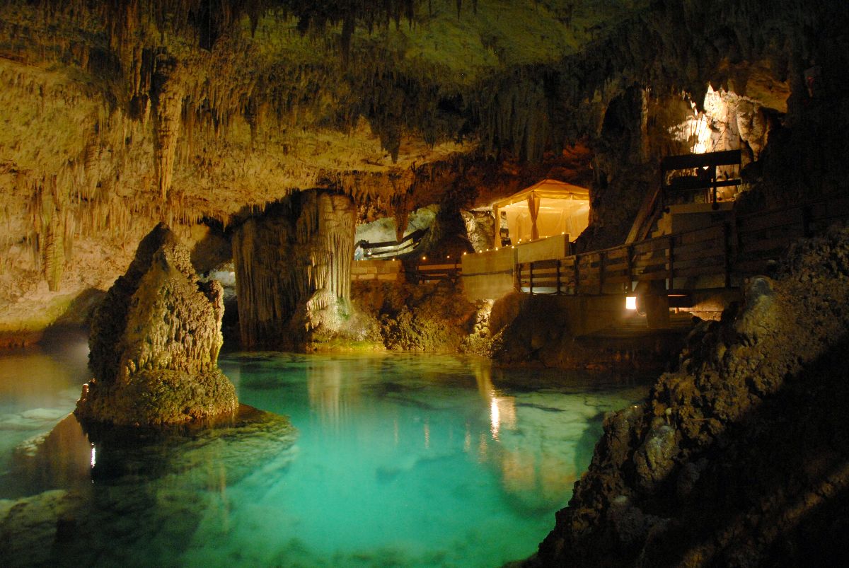 Purely Bermuda-Image-5