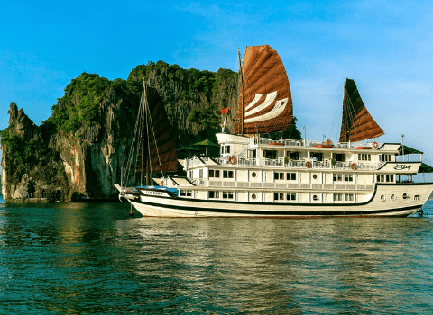 Freedom Destinations-Image-2
