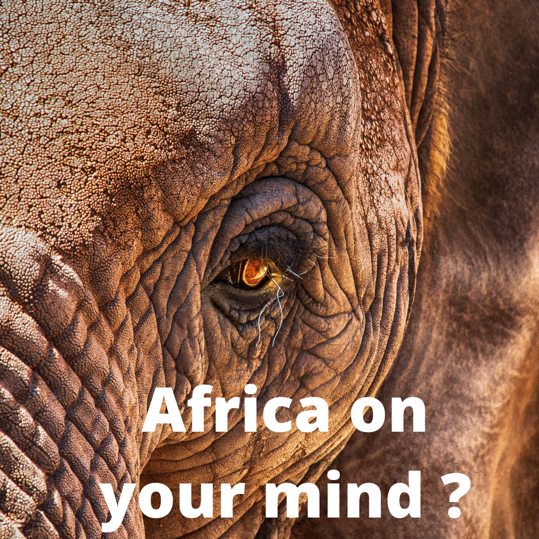 Penny Furseman - Independent Travel Expert-Image-6