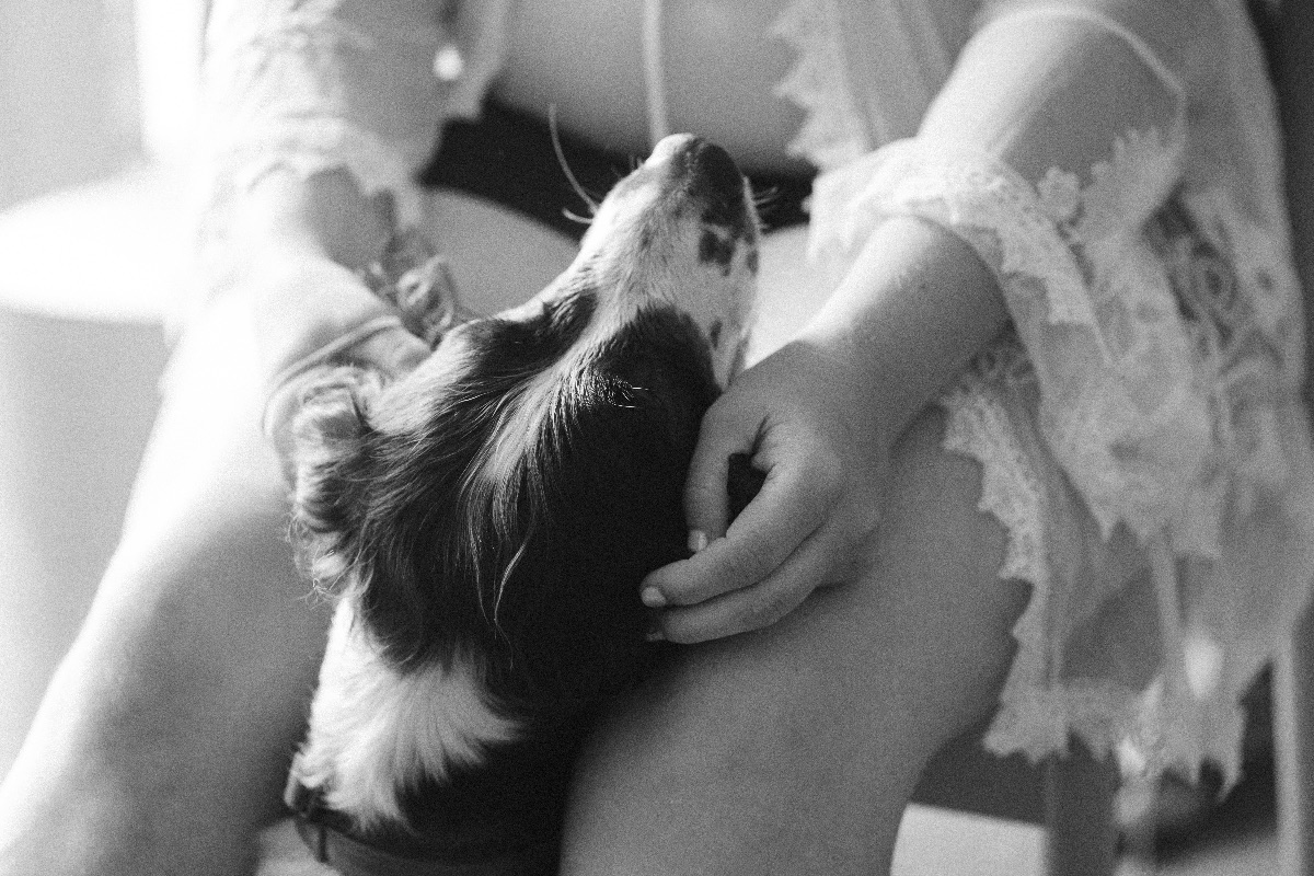 Terry Woods Wedding Films-Image-3