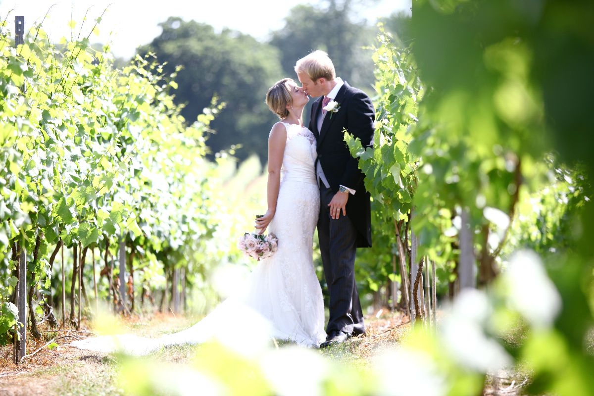 Joe Weil Photography-Image-264
