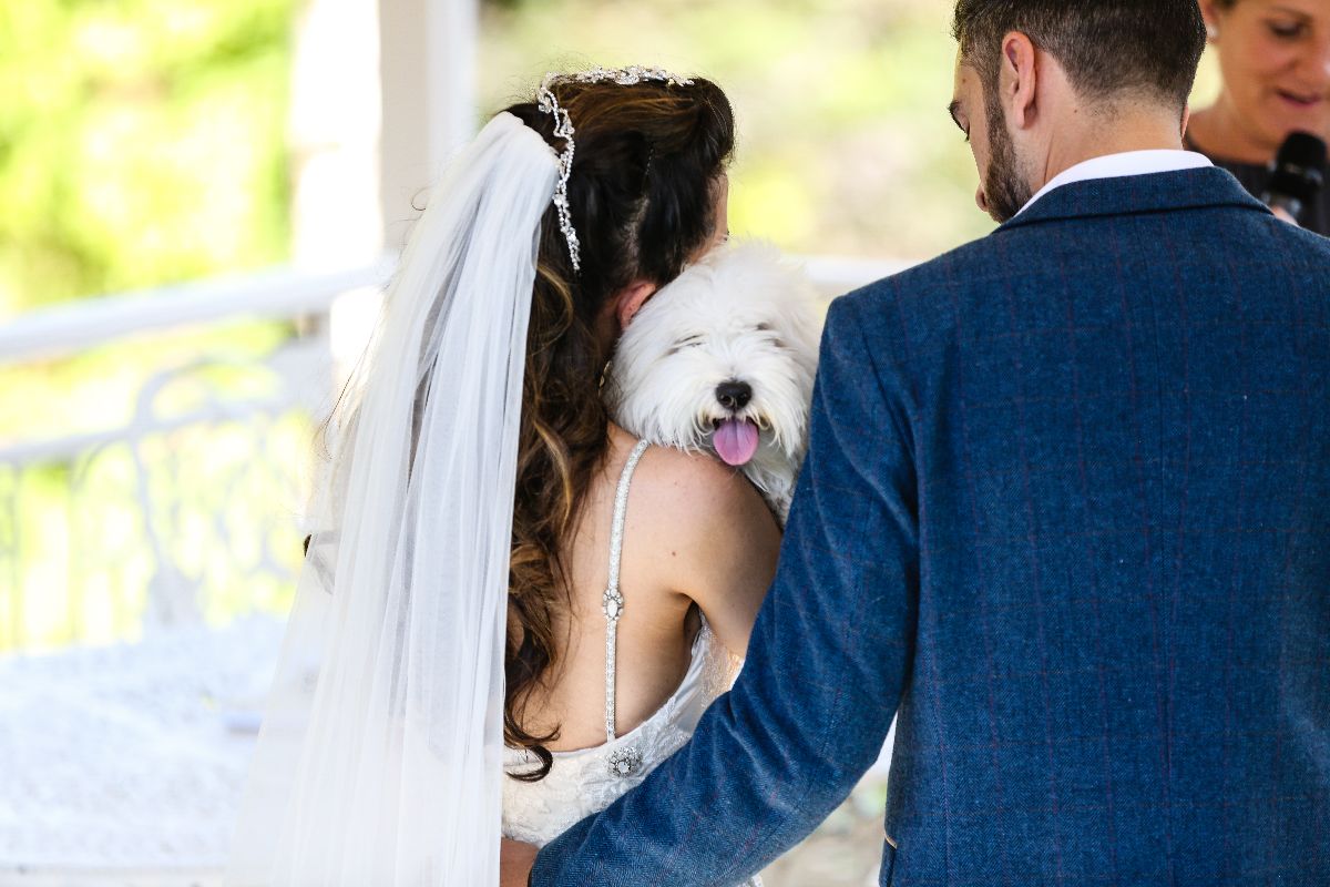 Joe Weil Photography-Image-174