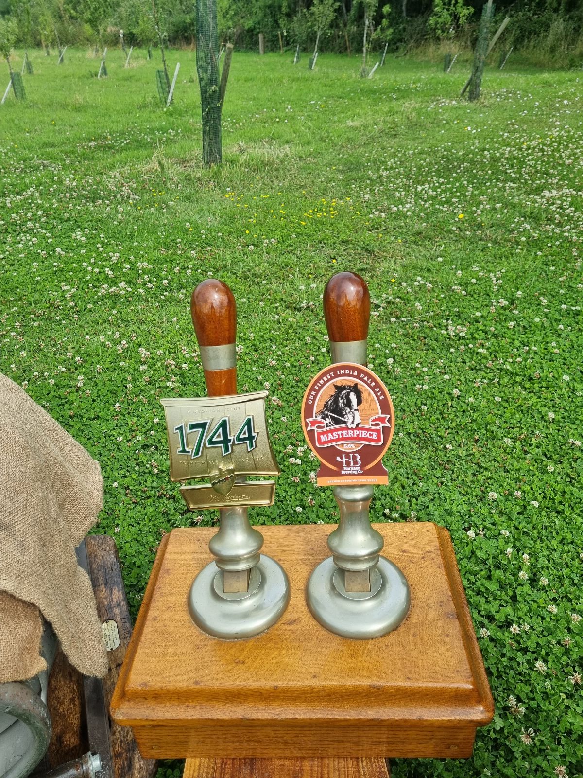 Traditional Beer Cellar Craft-Image-17