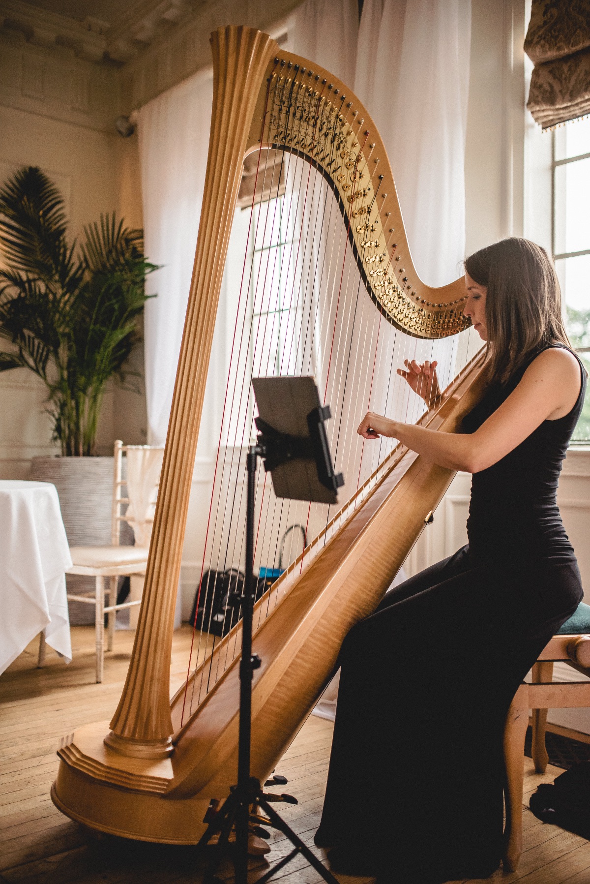 Elinor Harp -Image-27