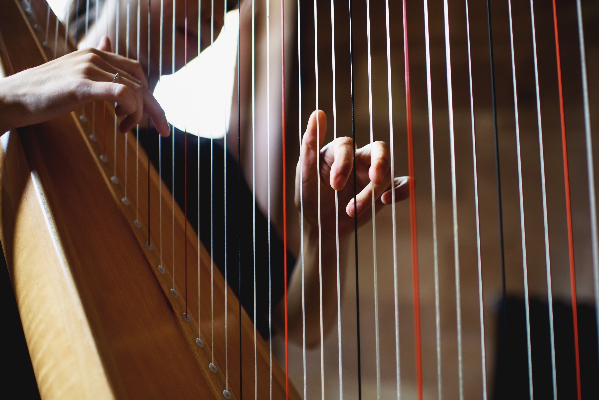 Elinor Harp -Image-17