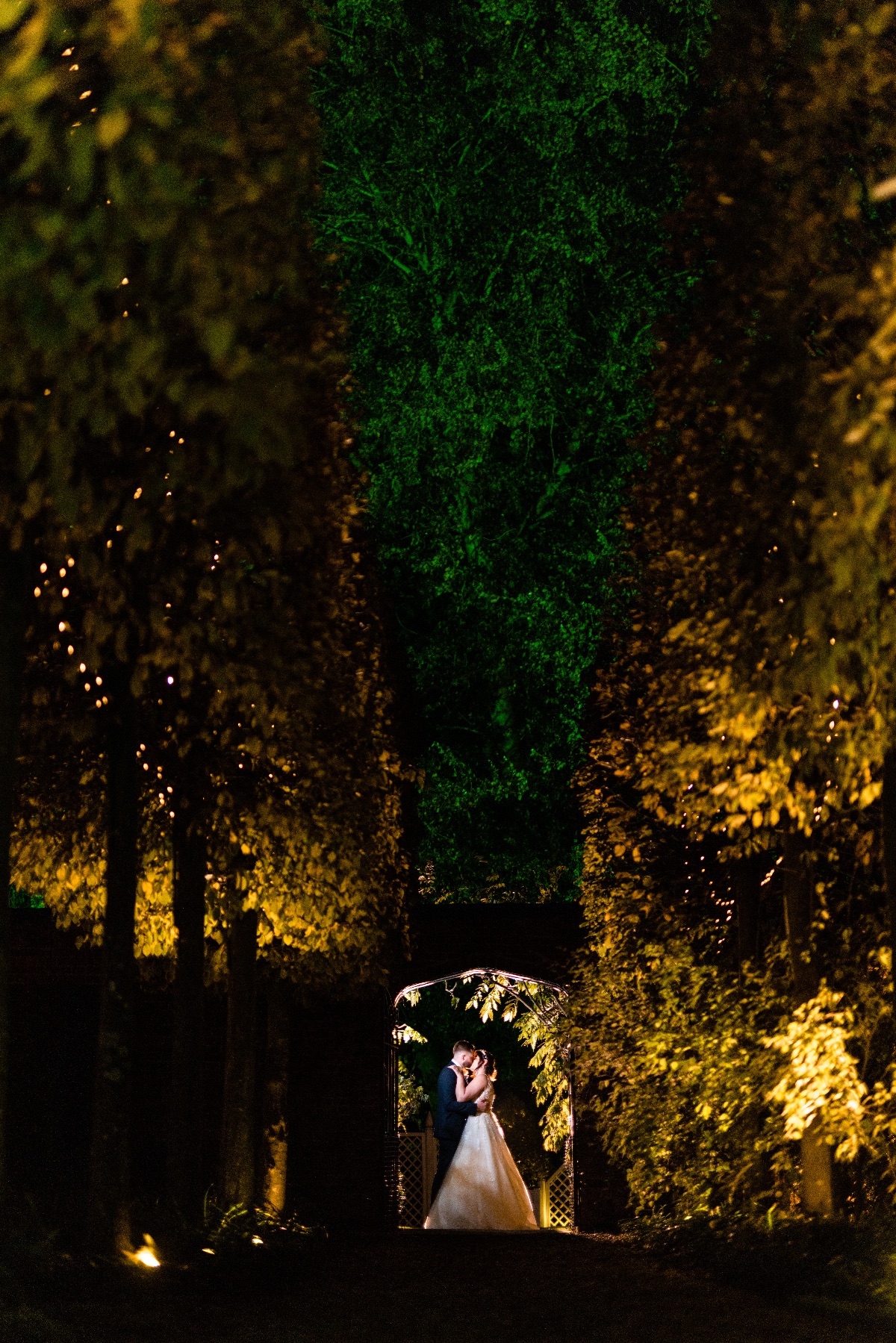 Martin Beale Photography -Image-61