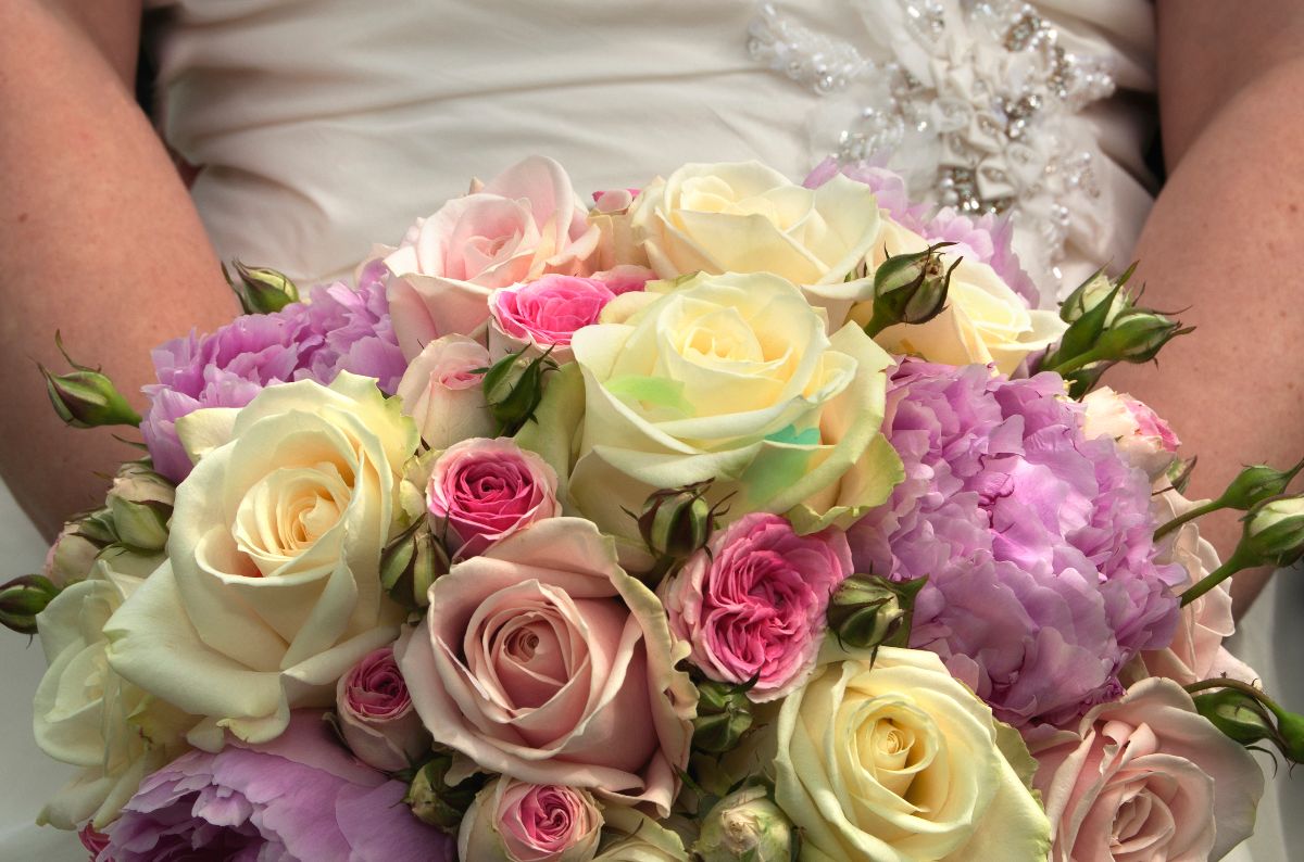 Skylark Photography-Image-71