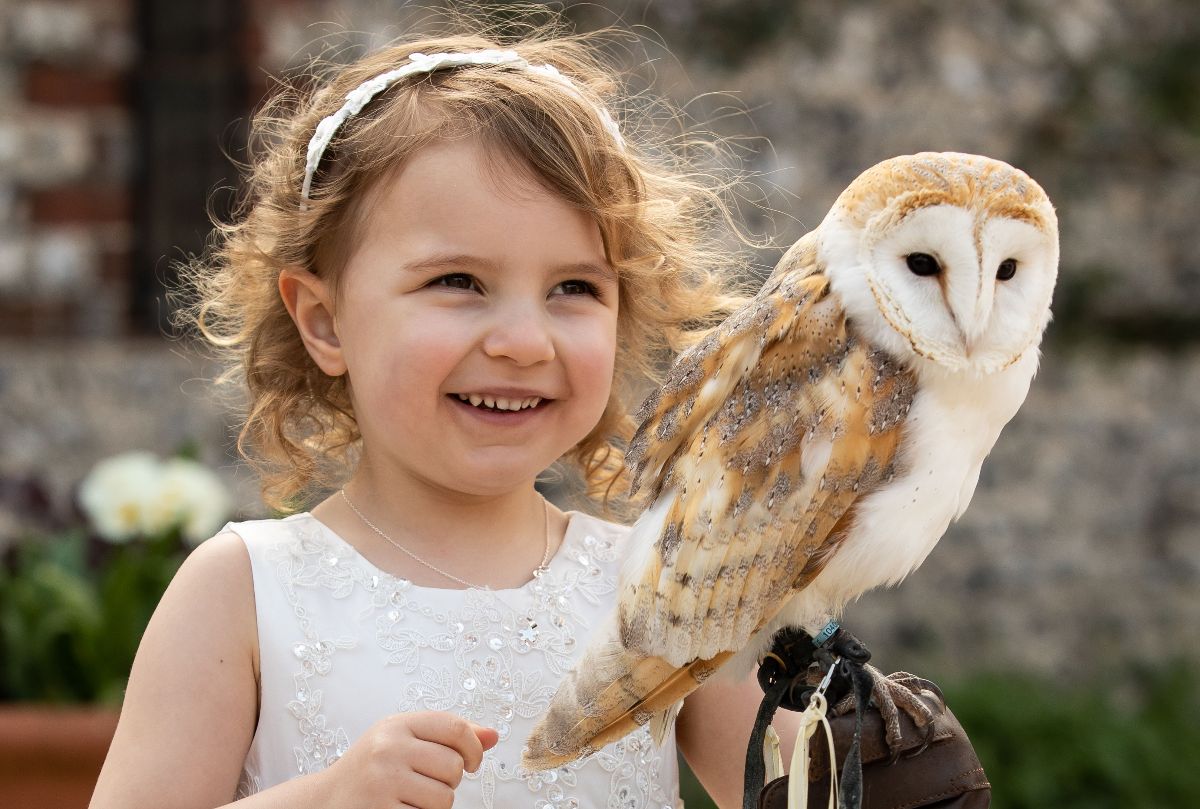 Fab Falconry-Image-40