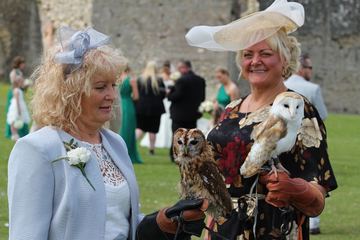 Fab Falconry-Image-65