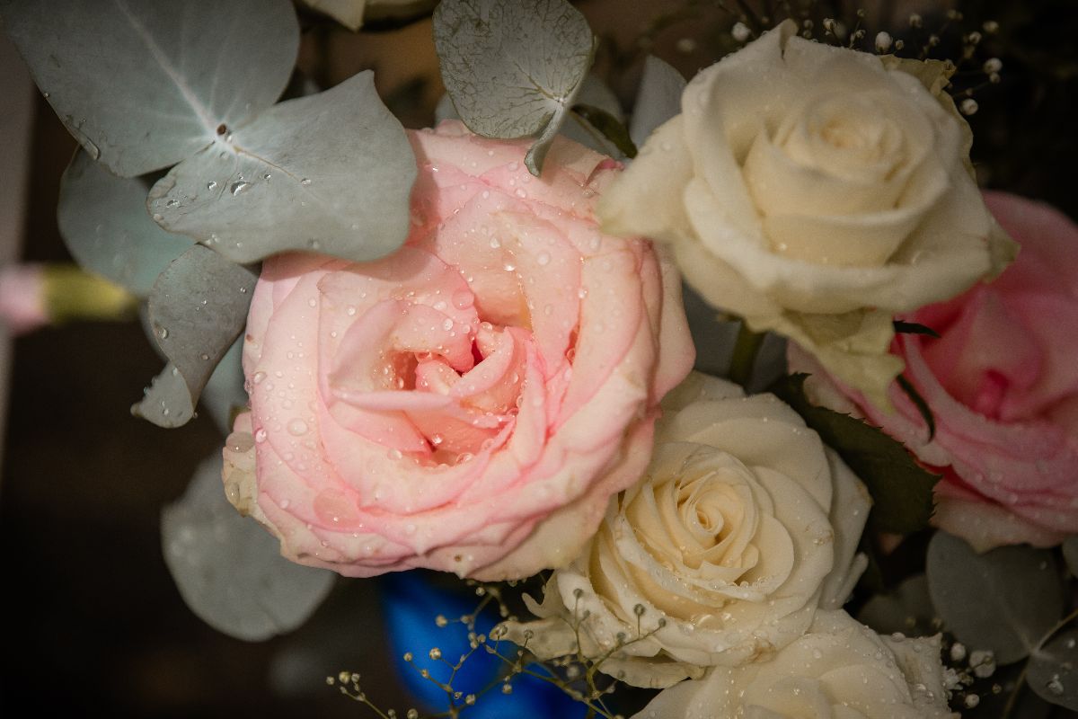 Rikki Critchell Photography-Image-77