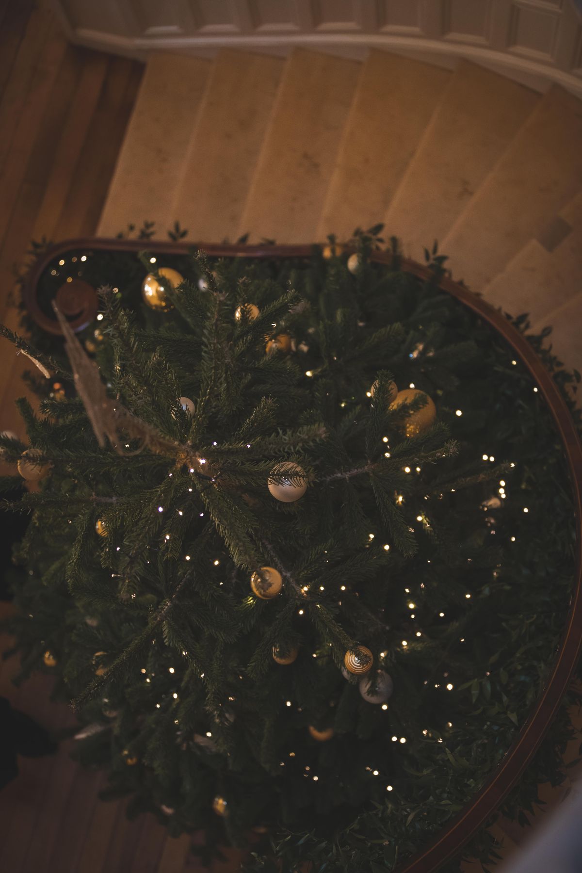 Rikki Critchell Photography-Image-9