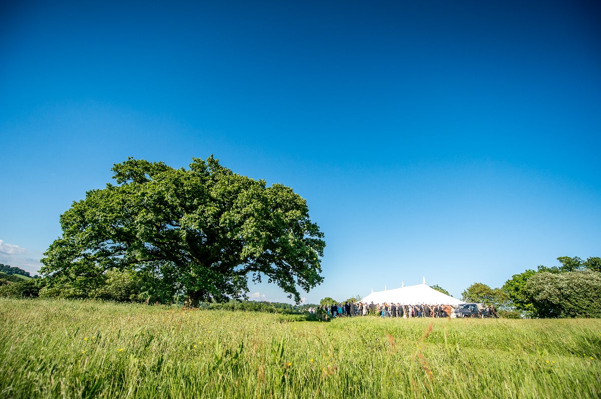 Weddings on a Hill-Image-3