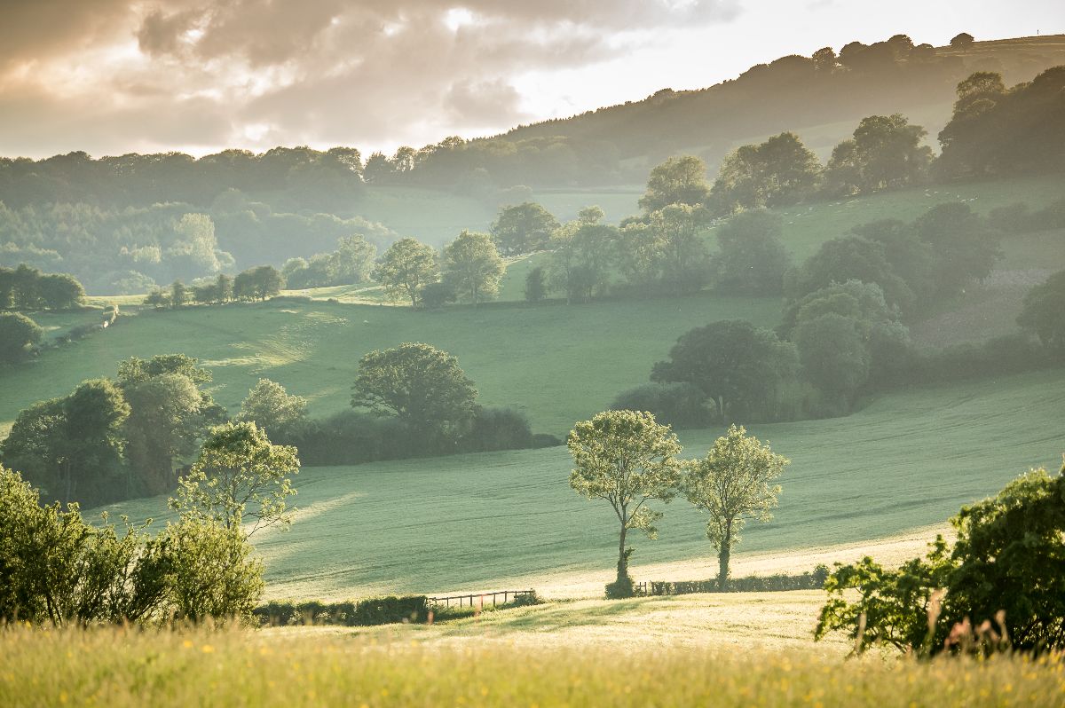 Gallery Item 20 for Weddings on a Hill