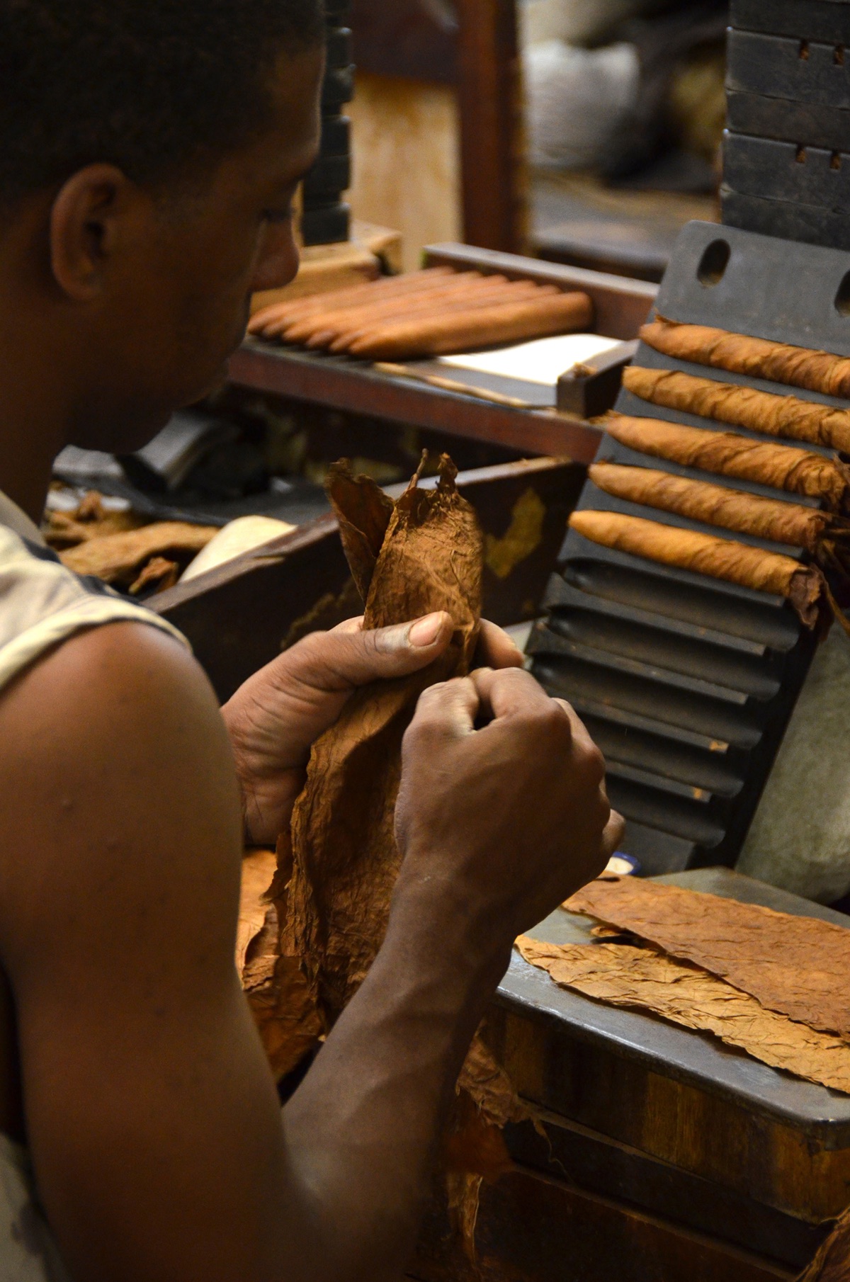 Featherstone cigar company Ltd -Image-10