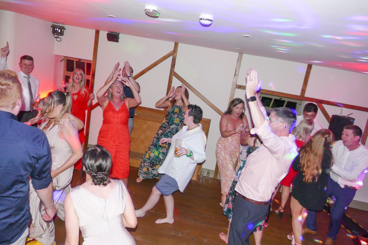 Best Wedding DJS-Image-11