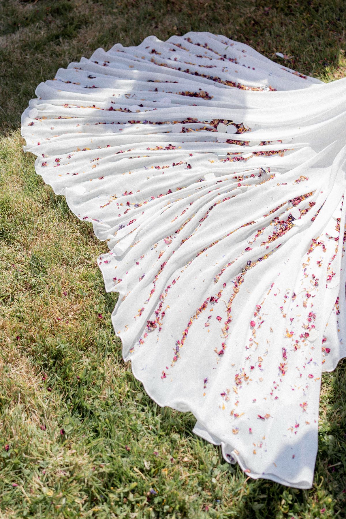 Daniel Edwards Photography-Image-58