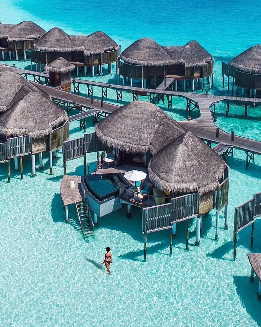 Not Just Travel - Hedge Travel -Image-16