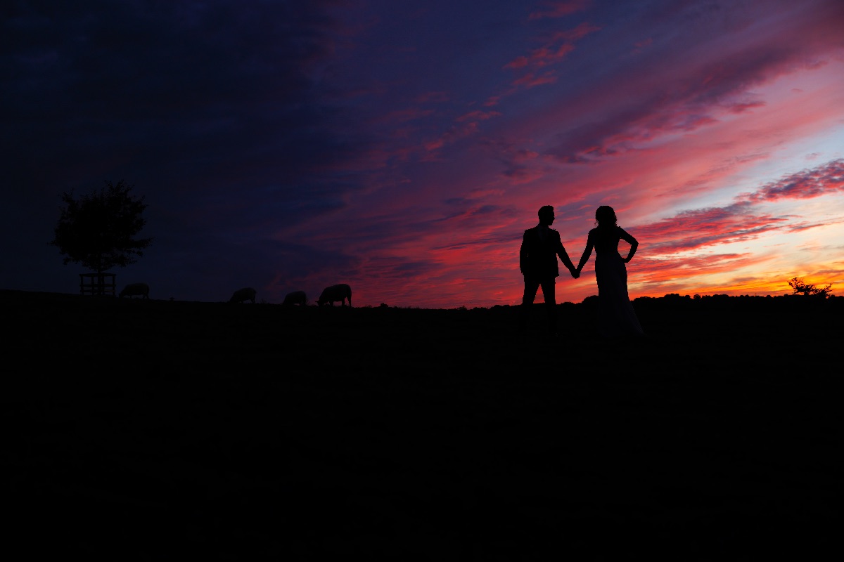 Rob Nicholson Photography-Image-1