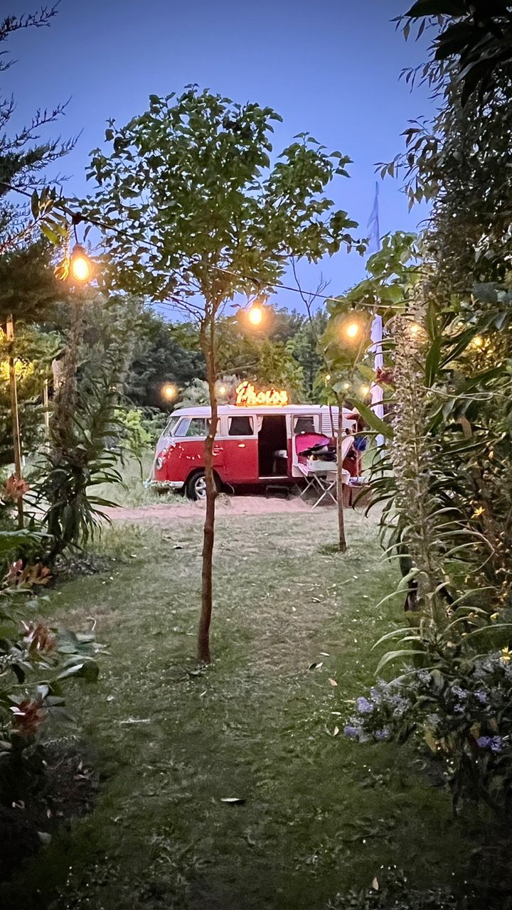 COOL 4 CAMPERS CLASSIC VW HIRE-Image-22