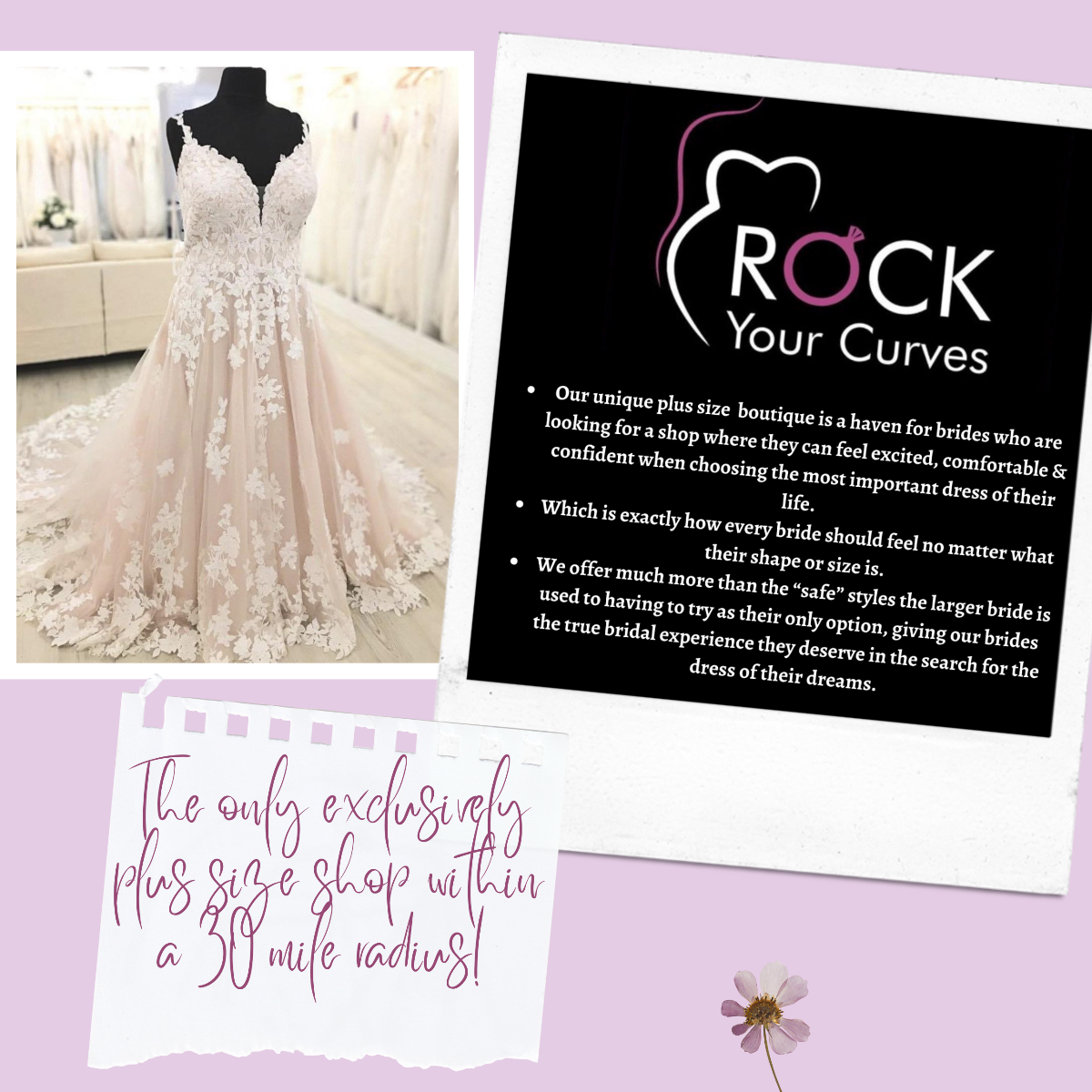 Rock Your Curves Bridal Boutique-Image-96