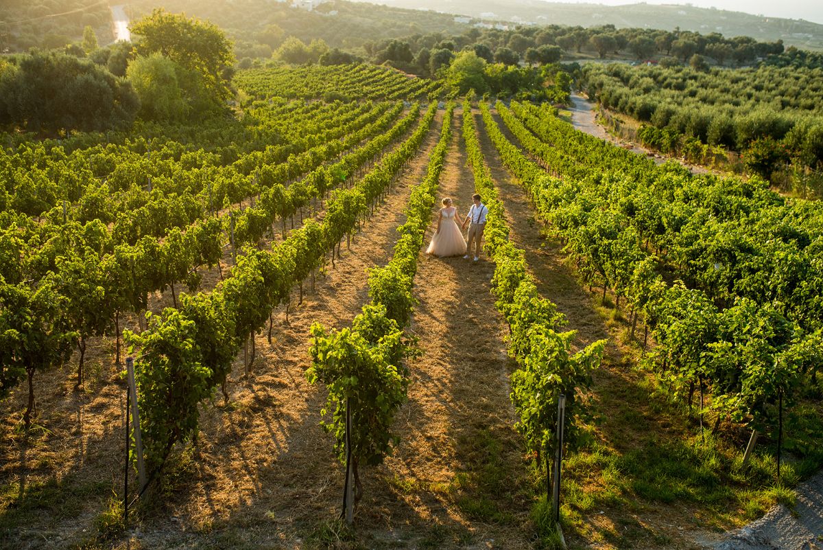 The Wedding Travel Company-Image-82